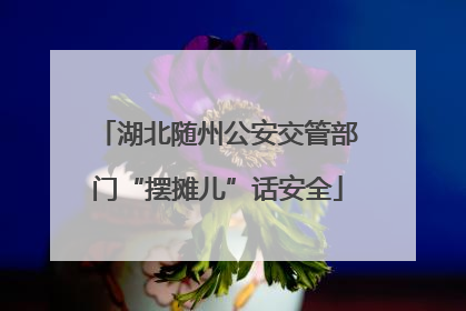 湖北随州公安交管部门“摆摊儿”话安全