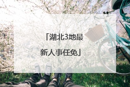 湖北3地最新人事任免