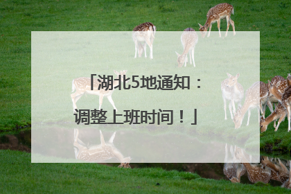 湖北5地通知：调整上班时间！