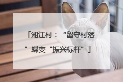 湘江村：“留守村落”蝶变“振兴标杆”
