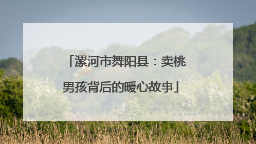 漯河市舞阳县：卖桃男孩背后的暖心故事