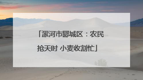漯河市郾城区：农民抢天时 小麦收割忙