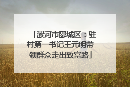 漯河市郾城区：驻村第一书记王元明带领群众走出致富路
