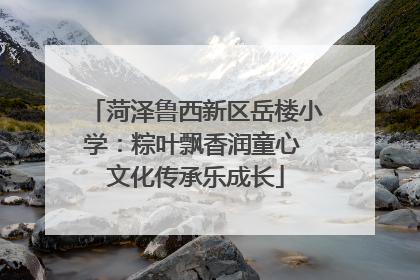 菏泽鲁西新区岳楼小学：粽叶飘香润童心 文化传承乐成长