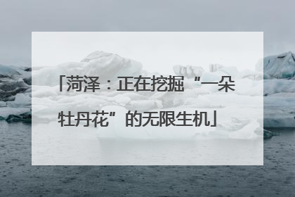 菏泽：正在挖掘“一朵牡丹花”的无限生机