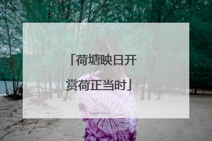 荷塘映日开 赏荷正当时