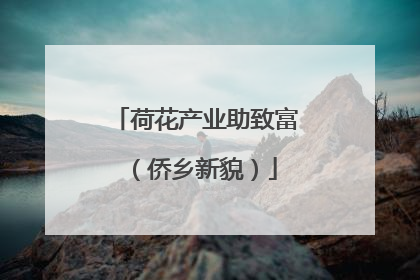 荷花产业助致富（侨乡新貌）