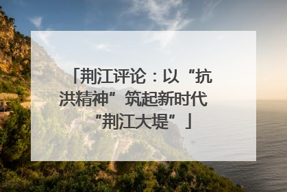 荆江评论：以“抗洪精神”筑起新时代“荆江大堤”