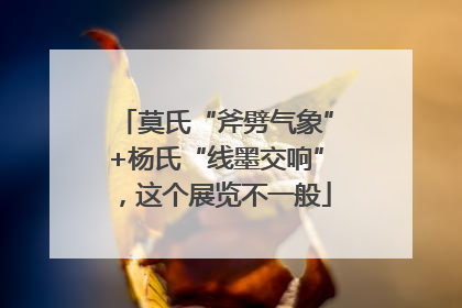莫氏“斧劈气象”+杨氏“线墨交响”，这个展览不一般
