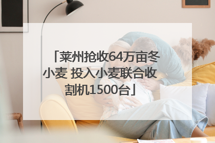 莱州抢收64万亩冬小麦 投入小麦联合收割机1500台