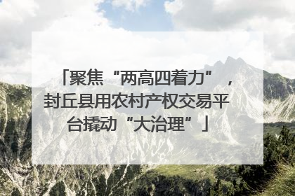 聚焦“两高四着力”，封丘县用农村产权交易平台撬动“大治理”