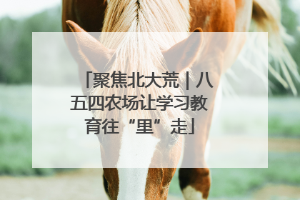 聚焦北大荒｜八五四农场让学习教育往“里”走