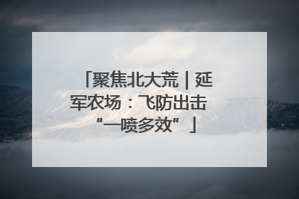 聚焦北大荒｜延军农场：飞防出击 “一喷多效”
