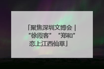 聚焦深圳文博会｜“徐霞客”“郑和”恋上江西仙草
