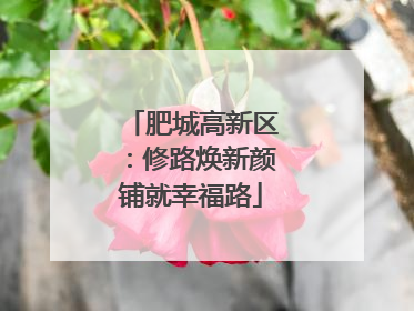 肥城高新区：修路焕新颜铺就幸福路