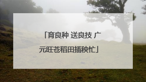 育良种 送良技 广元旺苍稻田插秧忙