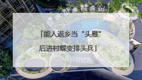 能人返乡当“头雁” 后进村蝶变排头兵