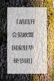 胡昌升会见欧盟国家驻华使节团