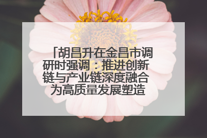 胡昌升在金昌市调研时强调：推进创新链与产业链深度融合 为高质量发展塑造新动能新优势