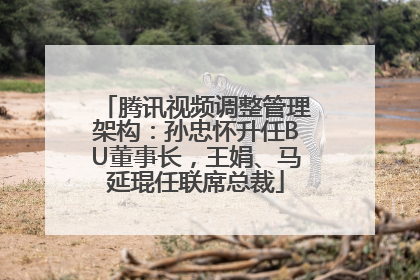腾讯视频调整管理架构：孙忠怀升任BU董事长，王娟、马延琨任联席总裁