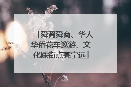 舜裔舜商、华人华侨花车巡游、文化踩街点亮宁远