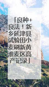 良种+良法！新乡延津县试验田小麦刷新黄淮麦区高产记录
