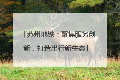 苏州地铁：聚焦服务创新，打造出行新生态