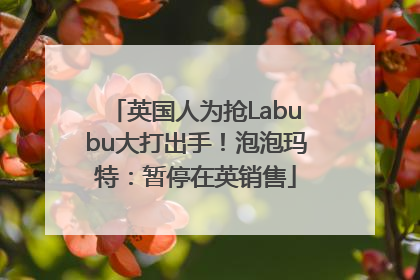 英国人为抢Labubu大打出手！泡泡玛特：暂停在英销售