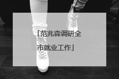 范兆森调研全市就业工作