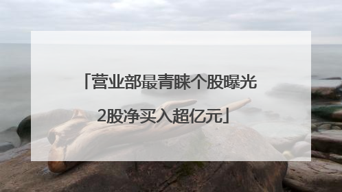 营业部最青睐个股曝光 2股净买入超亿元