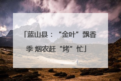 蓝山县：“金叶”飘香季 烟农赶“烤”忙