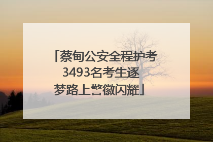蔡甸公安全程护考 3493名考生逐梦路上警徽闪耀