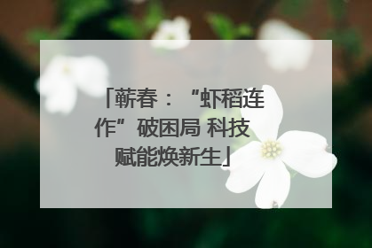 蕲春：“虾稻连作”破困局 科技赋能焕新生