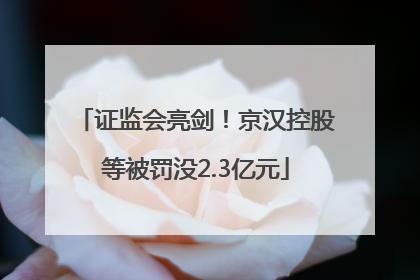 证监会亮剑！京汉控股等被罚没2.3亿元