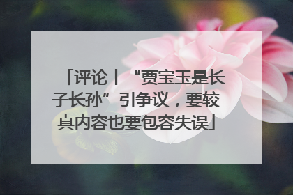 评论丨“贾宝玉是长子长孙”引争议，要较真内容也要包容失误