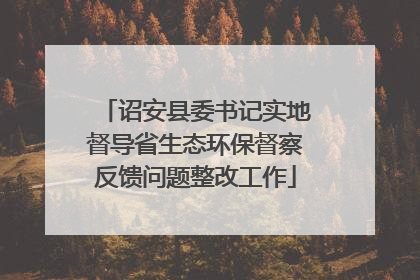 诏安县委书记实地督导省生态环保督察反馈问题整改工作