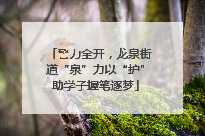 警力全开，龙泉街道“泉”力以“护”助学子握笔逐梦