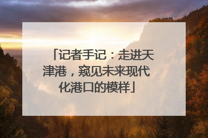 记者手记：走进天津港，窥见未来现代化港口的模样