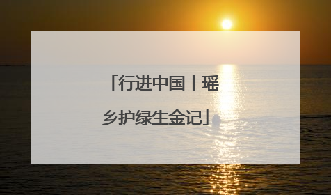 行进中国丨瑶乡护绿生金记