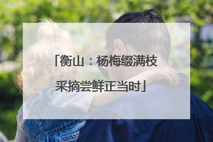 衡山：杨梅缀满枝 采摘尝鲜正当时