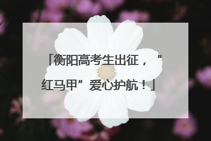 衡阳高考生出征，“红马甲”爱心护航！