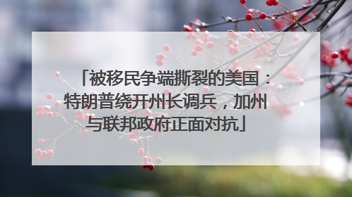 被移民争端撕裂的美国：特朗普绕开州长调兵，加州与联邦政府正面对抗