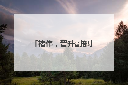 褚伟，晋升副部