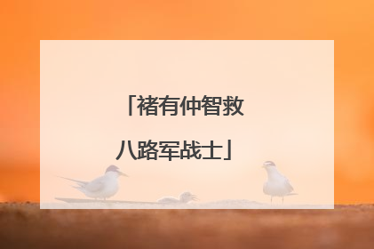 褚有仲智救八路军战士