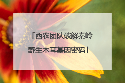 西农团队破解秦岭野生木耳基因密码