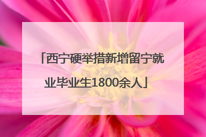 西宁硬举措新增留宁就业毕业生1800余人