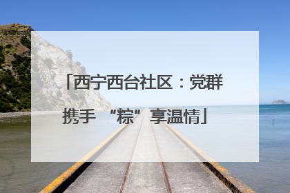 西宁西台社区：党群携手 “粽”享温情