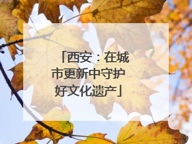 西安：在城市更新中守护好文化遗产