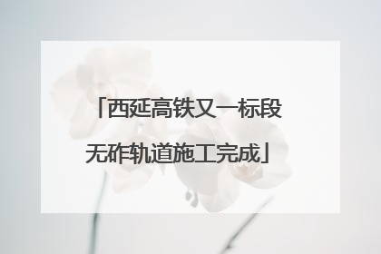 西延高铁又一标段无砟轨道施工完成