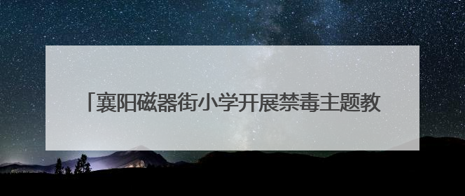 襄阳磁器街小学开展禁毒主题教育 筑牢青少年“无毒防线”